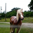 Sprcha :)