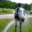 Sprcha :)